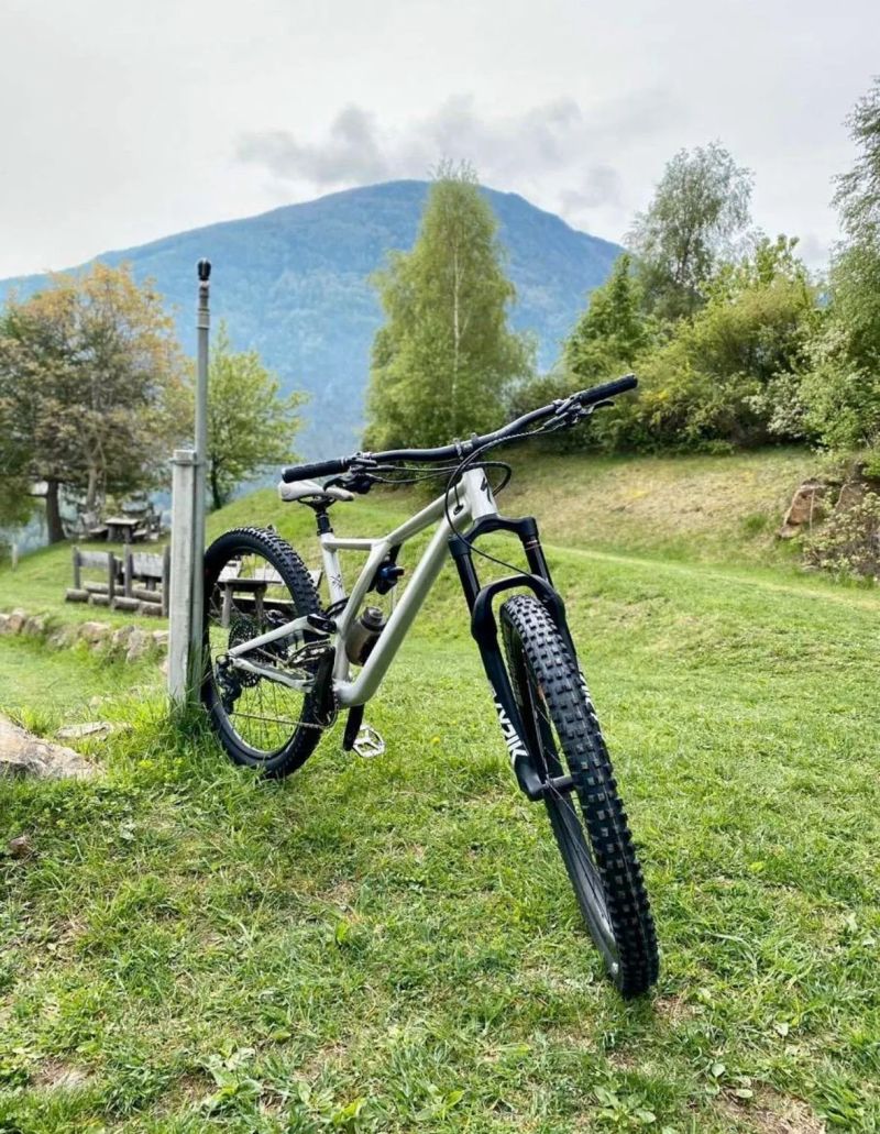 Specialized Stumpjumper Evo