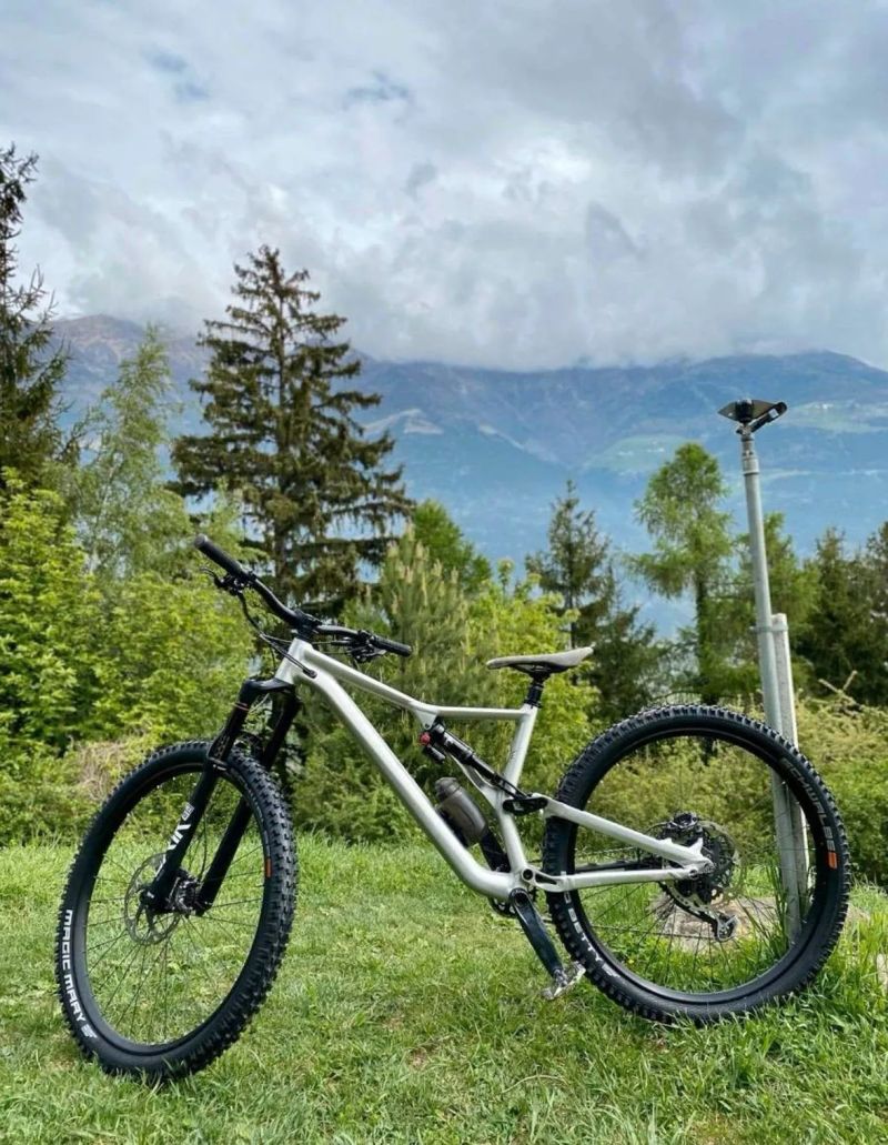 Specialized Stumpjumper Evo