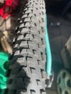 Bianchi 15 pro náctileté 