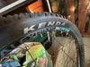 Bianchi 15 pro náctileté 