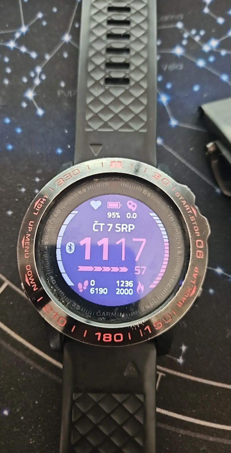 Garmin fenix 5X