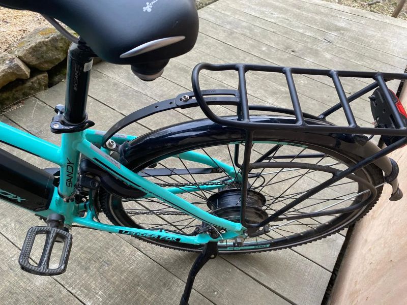 Leader Fox Sandy Lady