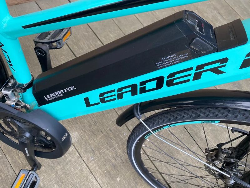 Leader Fox Sandy Lady