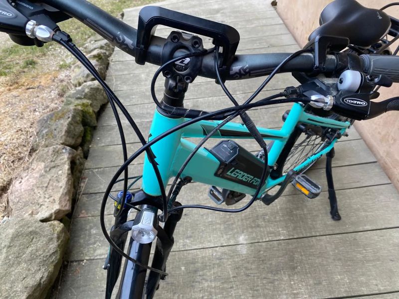 Leader Fox Sandy Lady