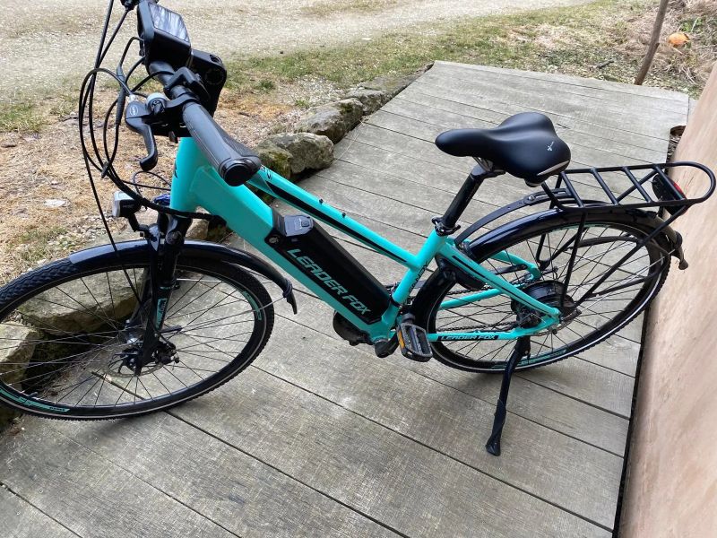 Leader Fox Sandy Lady