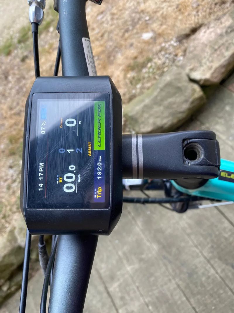 Leader Fox Sandy Lady