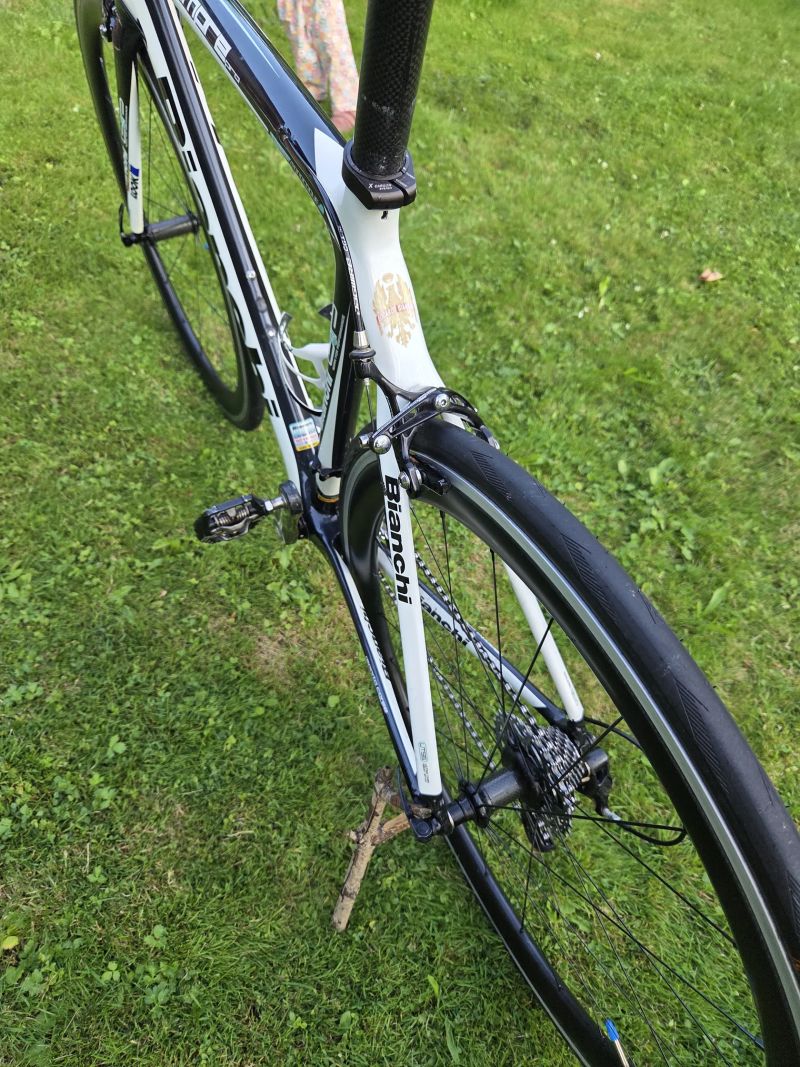 Binachi Sempre Pro velikost 55cm