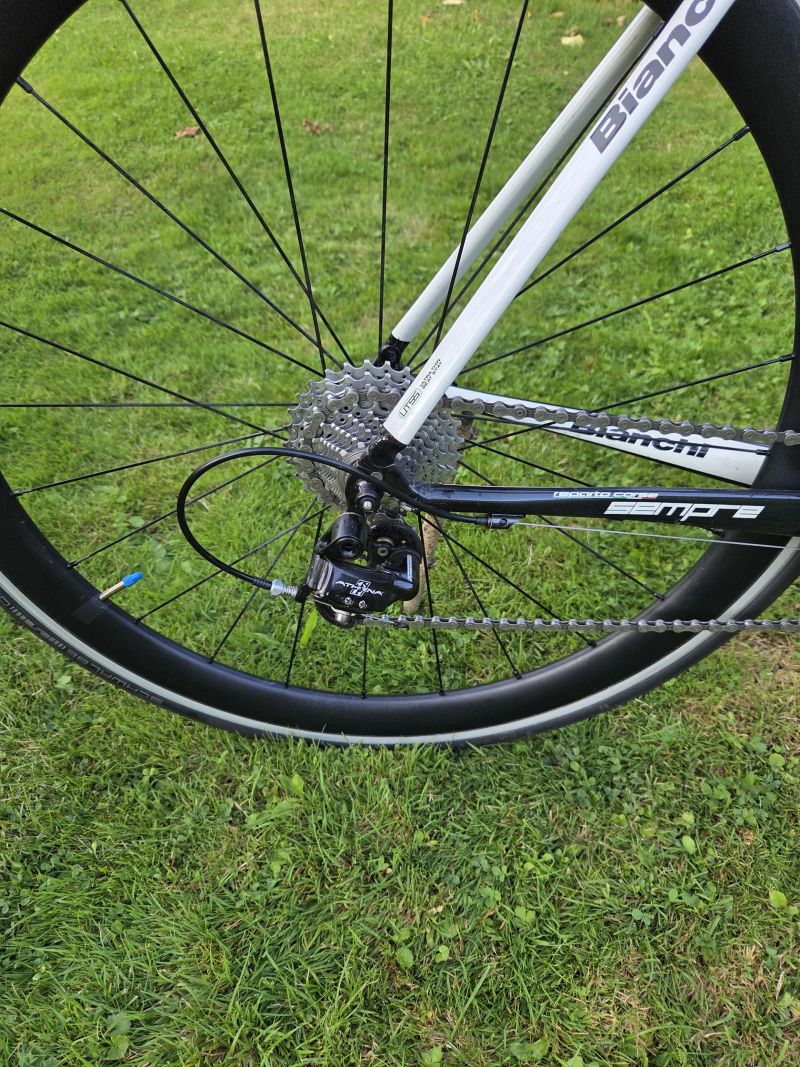 Binachi Sempre Pro velikost 55cm