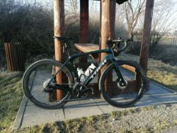 Trek Domane SL6 2026 (M)