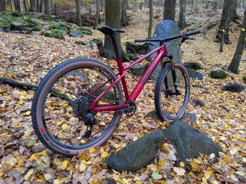 BMC Twostroke 01, XO1 AXS, Factory 32 Kashima, karbonové výplety