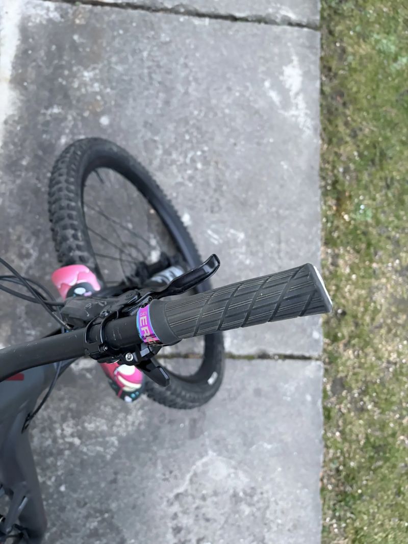 Specialized Status 160