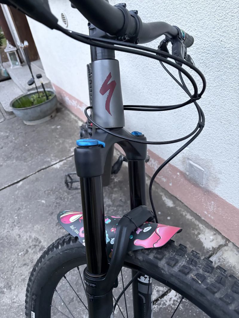 Specialized Status 160