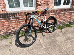 Nukeproof Mega 290
