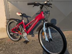 Dětské kolo Leader Fox Spider 24"