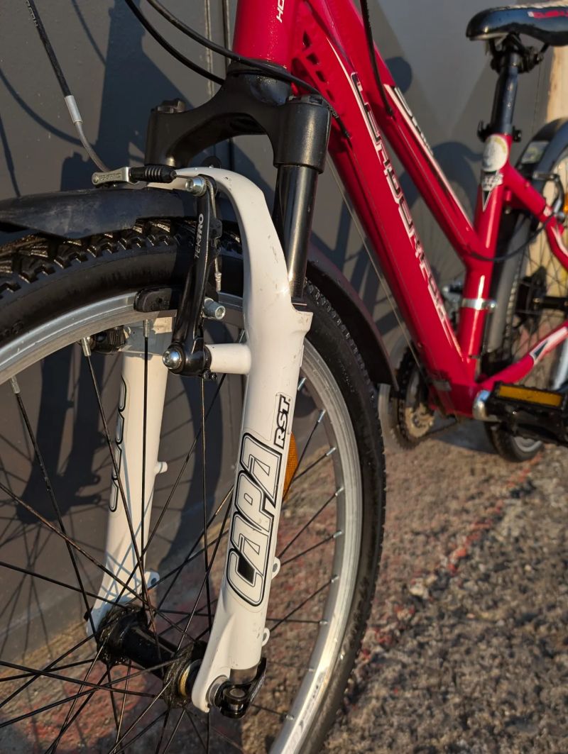 Dětské kolo Leader Fox Spider 24"