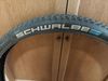 Schwalbe