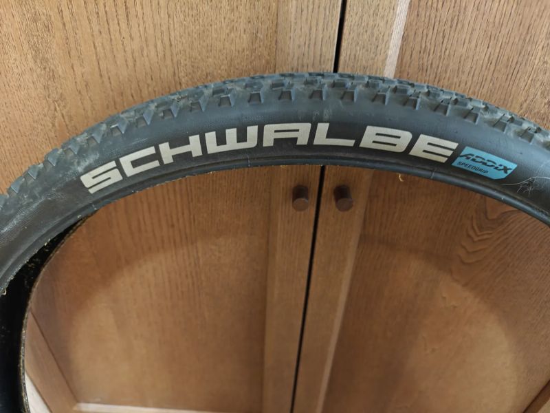 Schwalbe