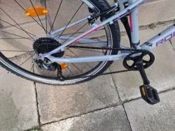 Rock Machine Thunder 26"