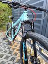 Spyder MTB M Custom Build 