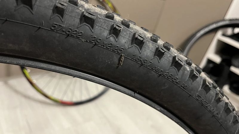 Schwalbe Rapid Rob