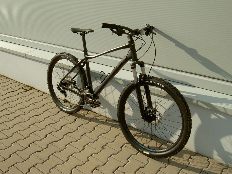 Giant Liv Tempt 1 L 2019