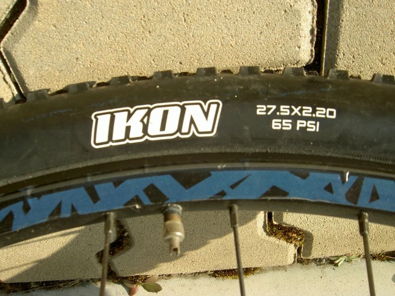 Giant Liv Tempt 1 L 2019