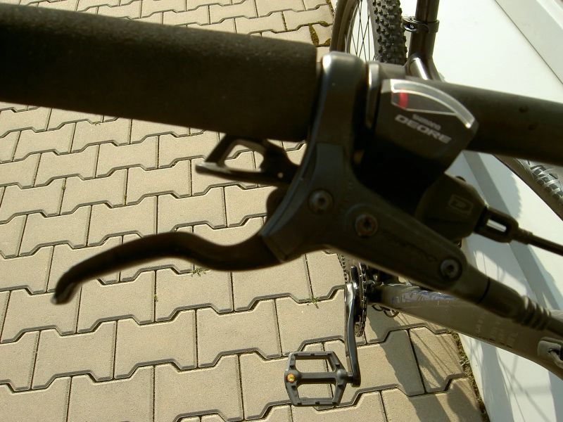 Giant Liv Tempt 1 L 2019