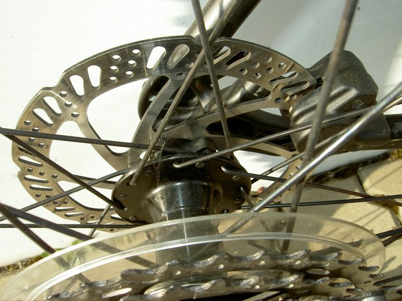 Giant Liv Tempt 1 L 2019