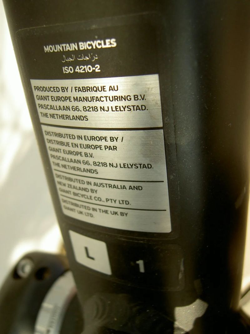 Giant Liv Tempt 1 L 2019