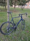Canyon Endurace CF 7 AllRoad (XXL) 