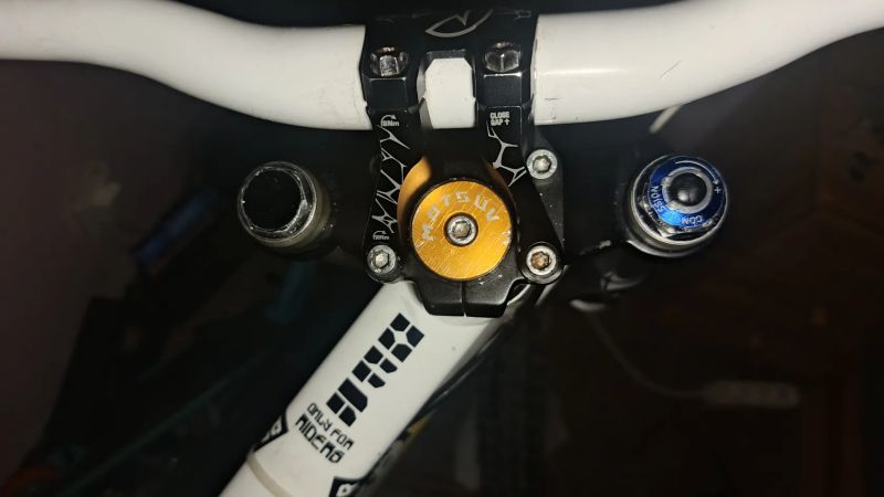 Rockshox boxxer 2009