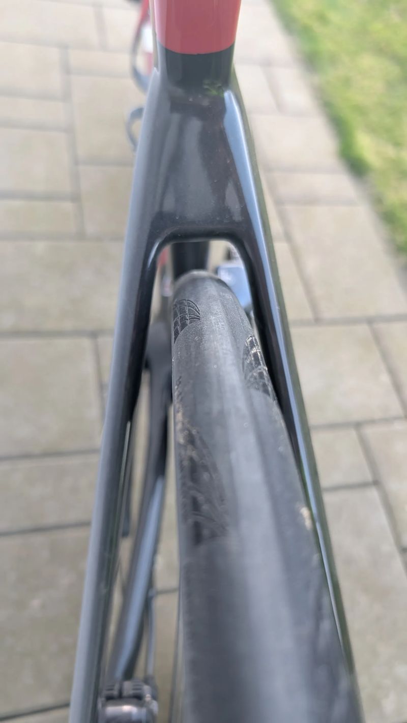 Prodám Focus IZALCO MAX 9.8