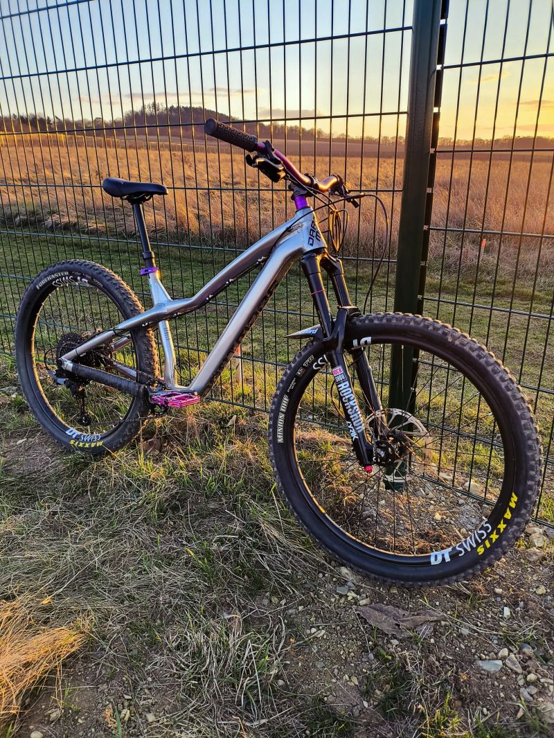 ENDURO | Dartmoor Hornet Pro | TOP