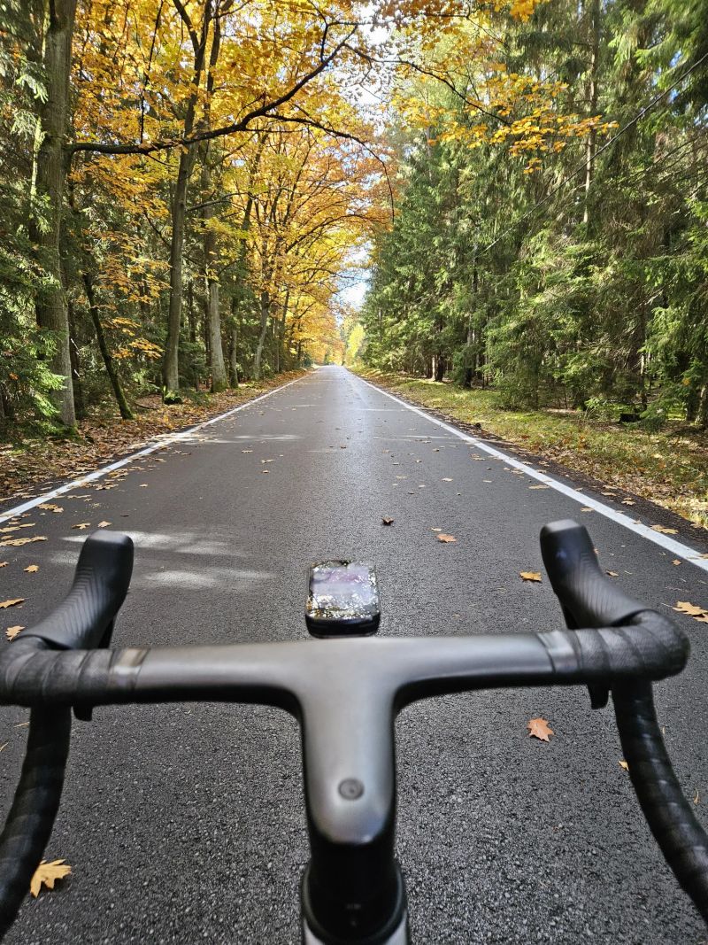 Canyon AEROAD CF SLX