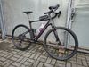 Cannondale Topstone Carbon s vidlicí Rudy XPLR + (2 sady kol)
