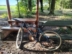 Canyon Exceed CF SLX 2023