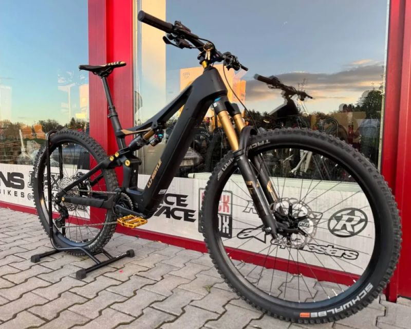 🔥🔥 SLEVA 67.000 -32% 🔥🔥 Whistle B-Rush C11.5 Black/Gold - L 