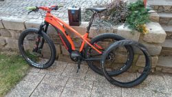 Orbea Wild HT20