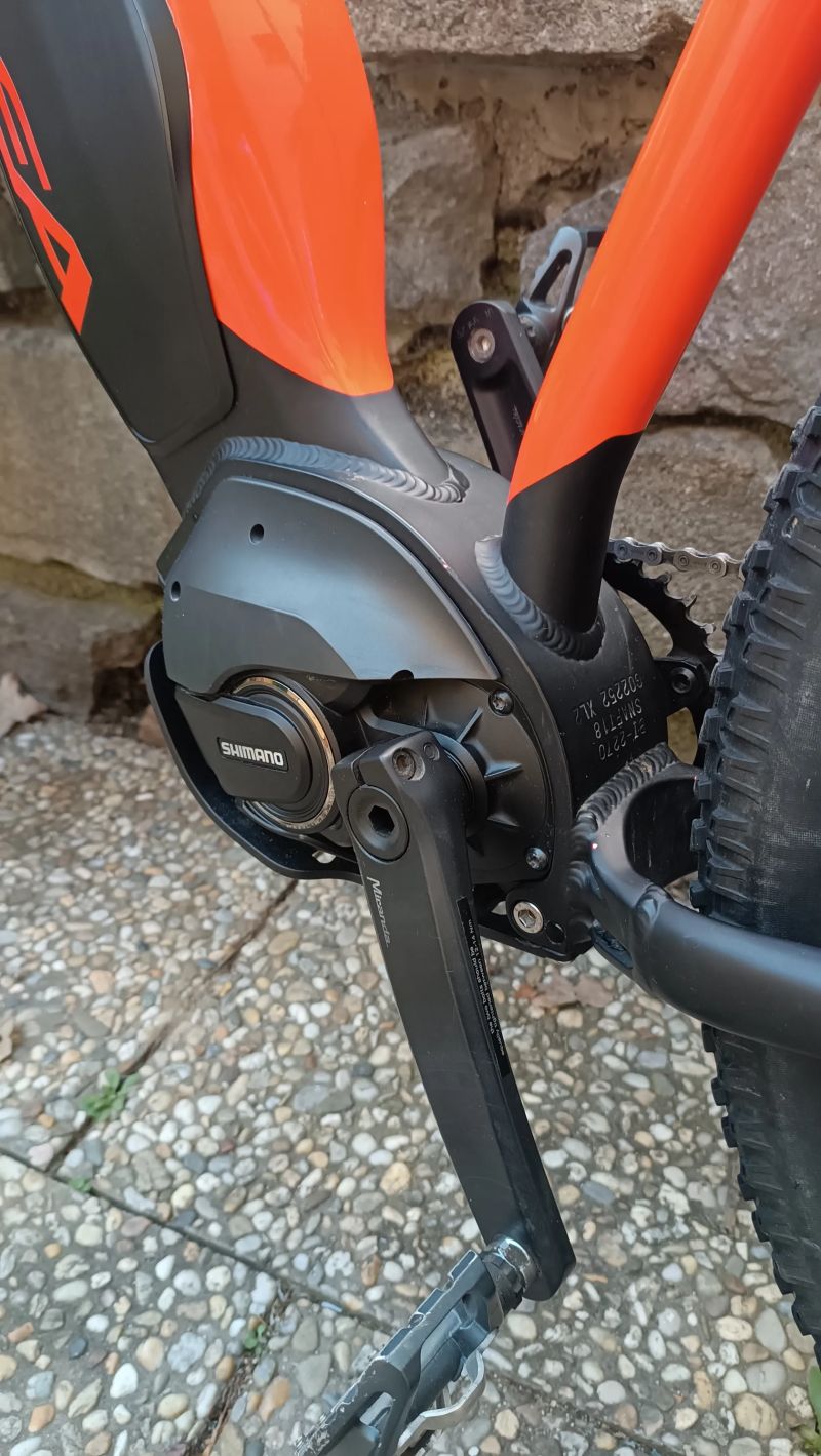 Orbea Wild HT20