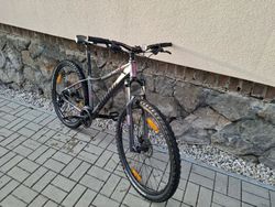 AUTHOR - Impulse 29 ASL stříbrná-matná/růžová 16"