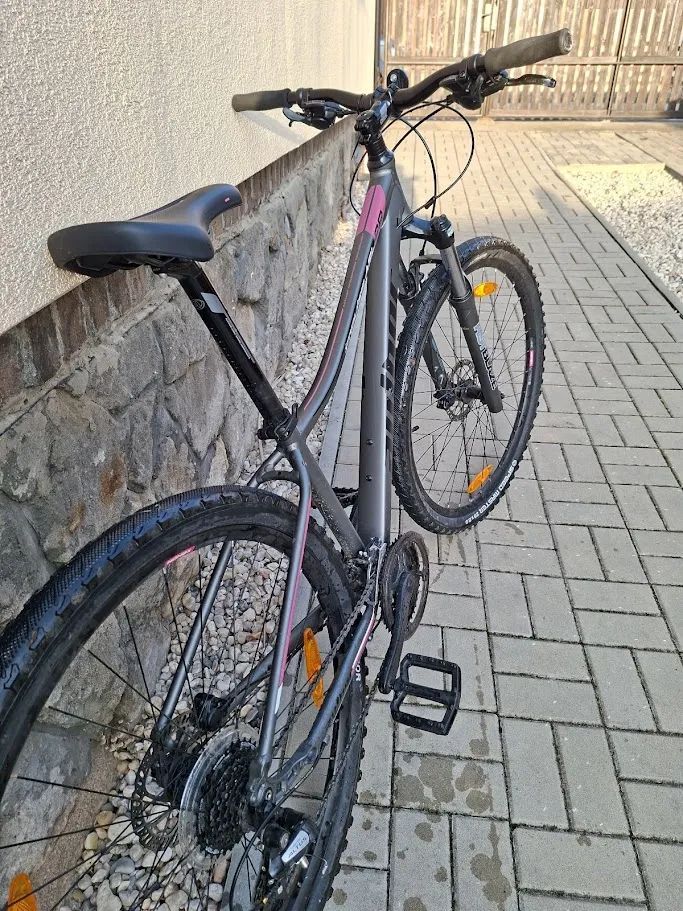 AUTHOR - Impulse 29 ASL stříbrná-matná/růžová 16"