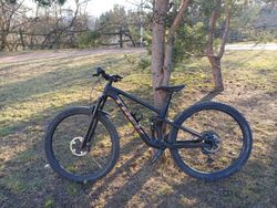 TREK Top Fuel 9.7 (2023) – Matte Raw Carbon, M/L