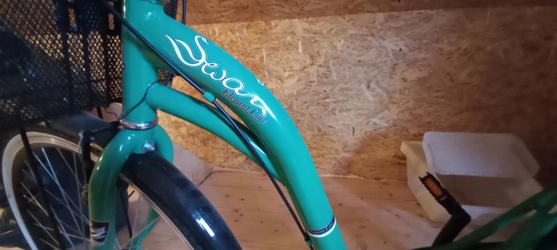 Městské kolo Reactor Swan