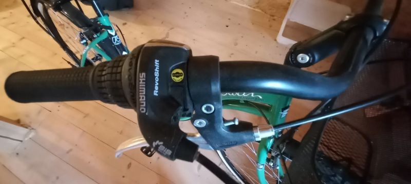 Městské kolo Reactor Swan