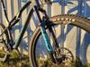 Canyon Lux Trail CF 8 XL 