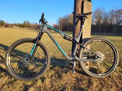 Canyon Lux Trail CF 8 XL 