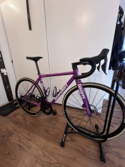 Standert Kreissäge RS