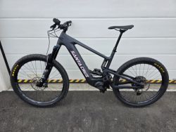 Santa Cruz Heckler 9