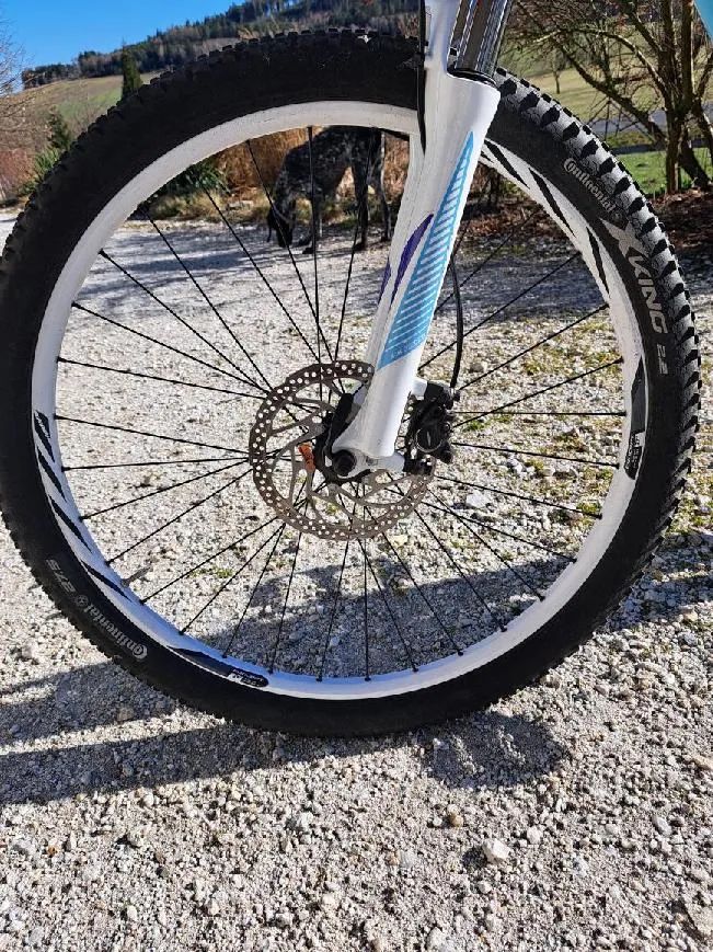 Focus Focus Jarifa Pro Donna Bosch