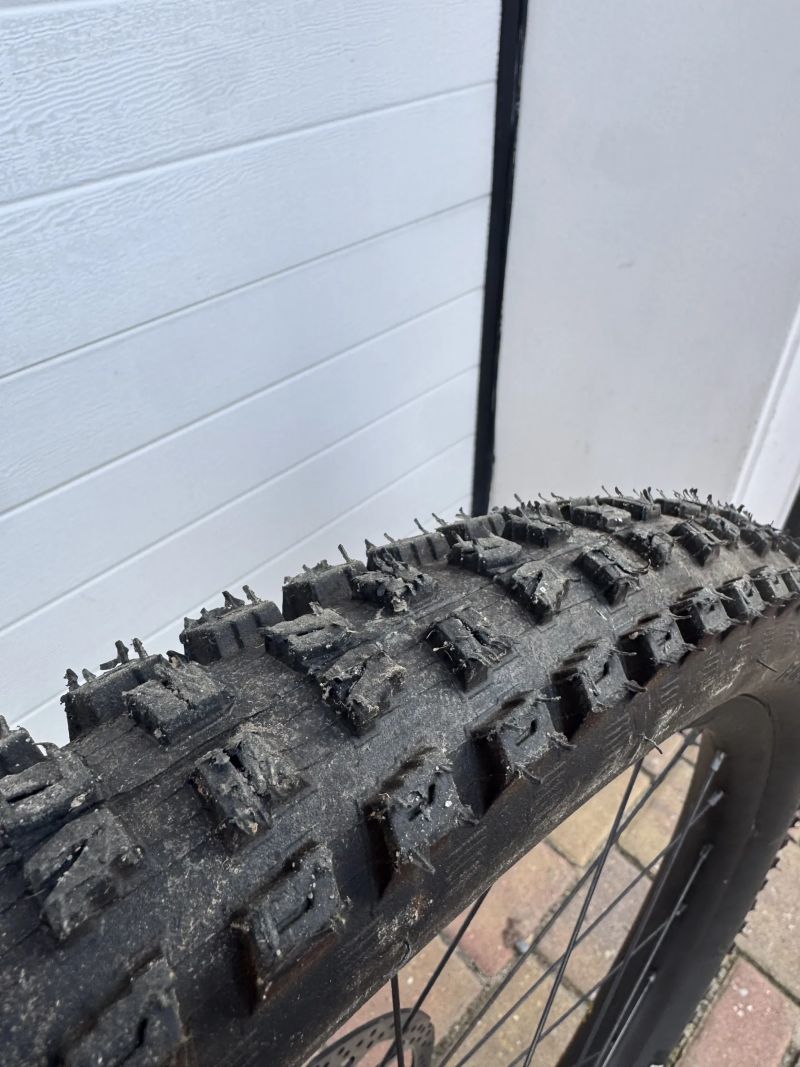 Specialized Stumpjumper 15 Coil